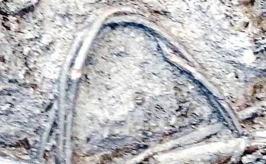 CANEVA (Pn). Nuove scoperte al Palù: trovata una preziosa ascia in sasso risalente al Neolitico.